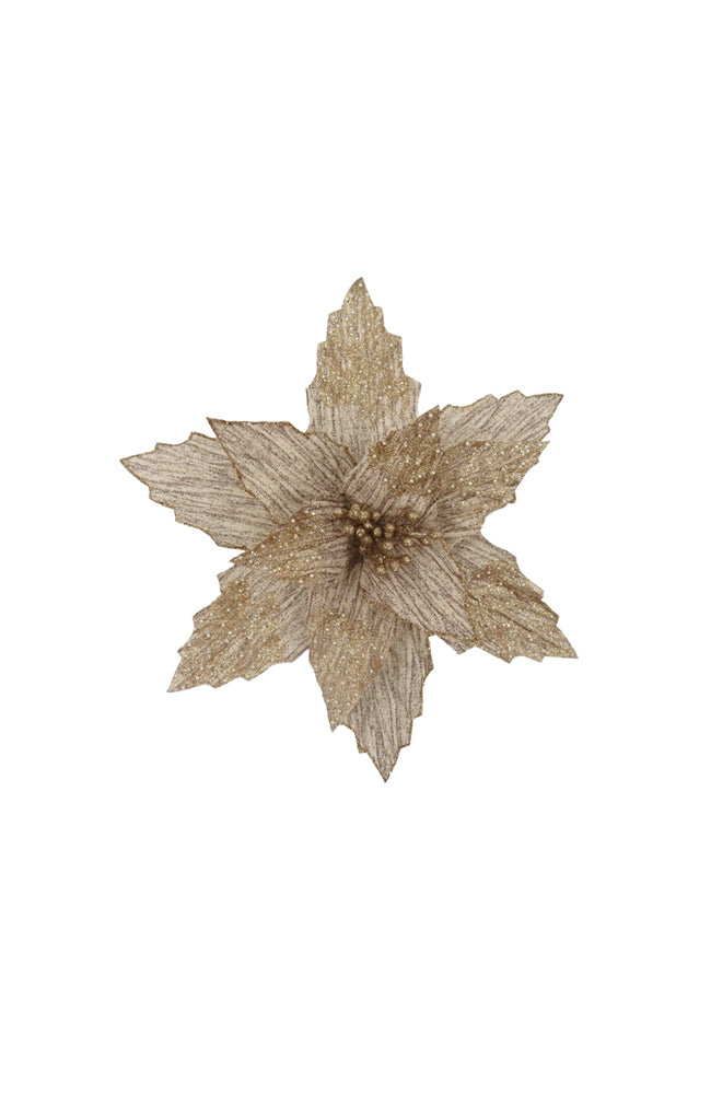 Poinsettia Natural Sharp Edge Clip