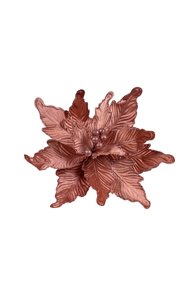 Poinsettia Dark Pink